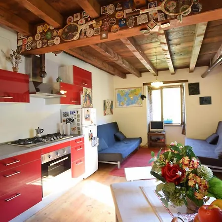 Theo House Lavone